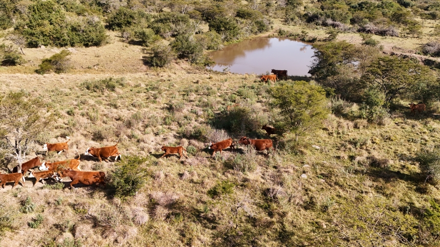 Commercial Property for Sale in Kei Road Eastern Cape